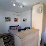 Studio19 شقة بودغوريتْسا